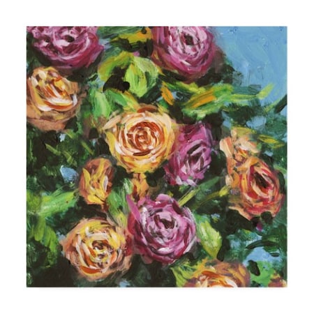 Melissa Wang 'Roses In Sunlight I' Canvas Art,24x24